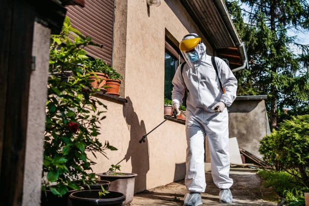 Best Best Pest Control Companies  in La Crescenta Montrose, CA