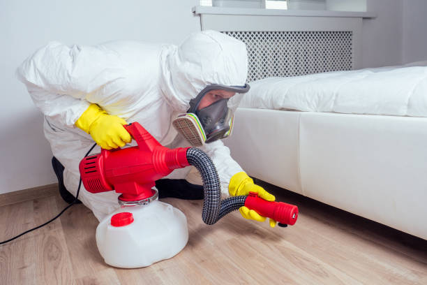 Reliable La Crescenta Montrose, CA Pest Control Solutions