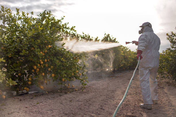 Insect Control in La Crescenta Montrose, CA